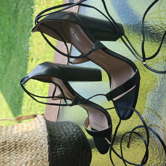Charles Albert heels ☆ Size 7 ☆ Up the leg Straps ☆ Stilettos ☆ Black  Brand New - Picture 6 of 15